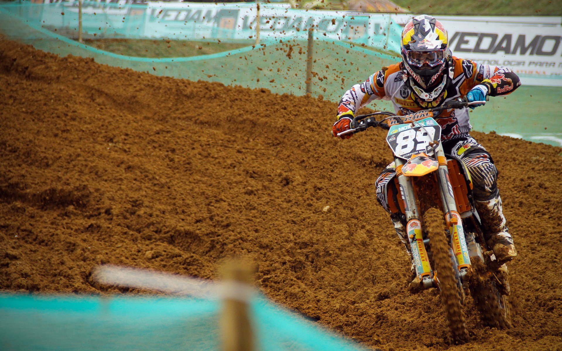 巴菲特与王传福缘分终结，投资界反思，巴菲特和王传福的照片